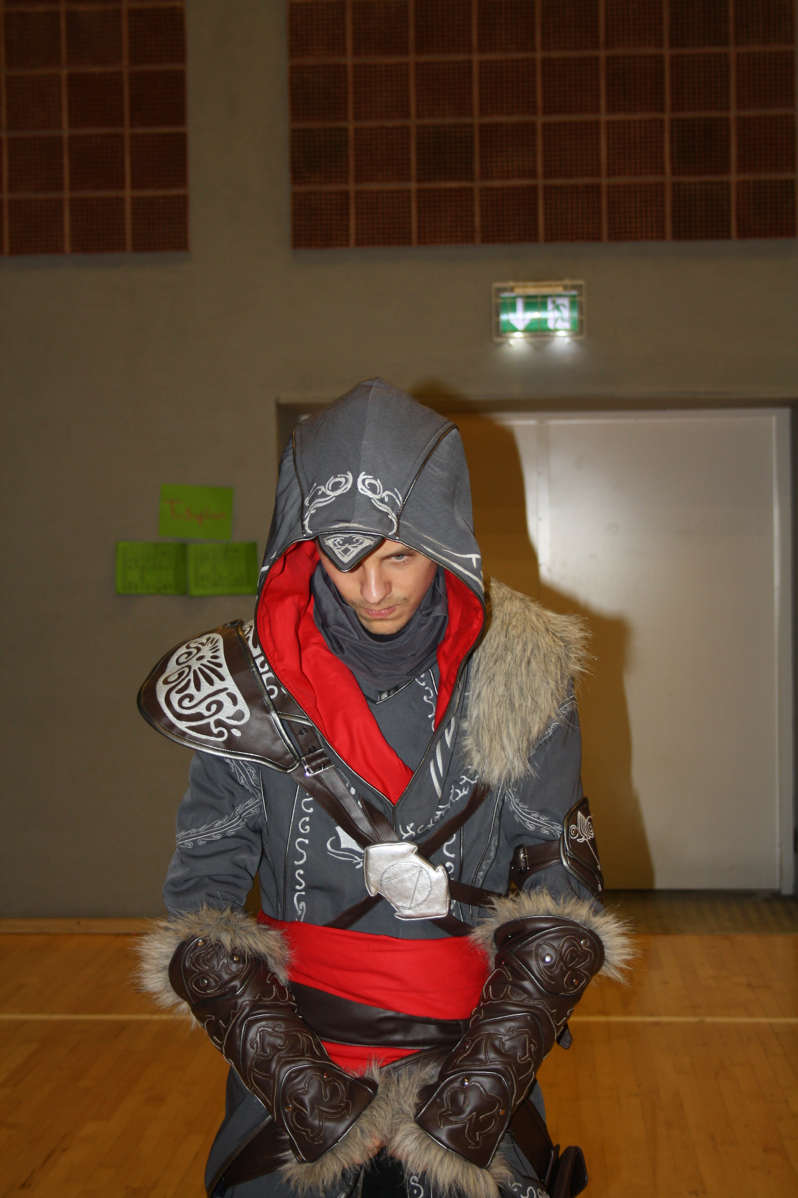 Assassin Creed Cosplayer