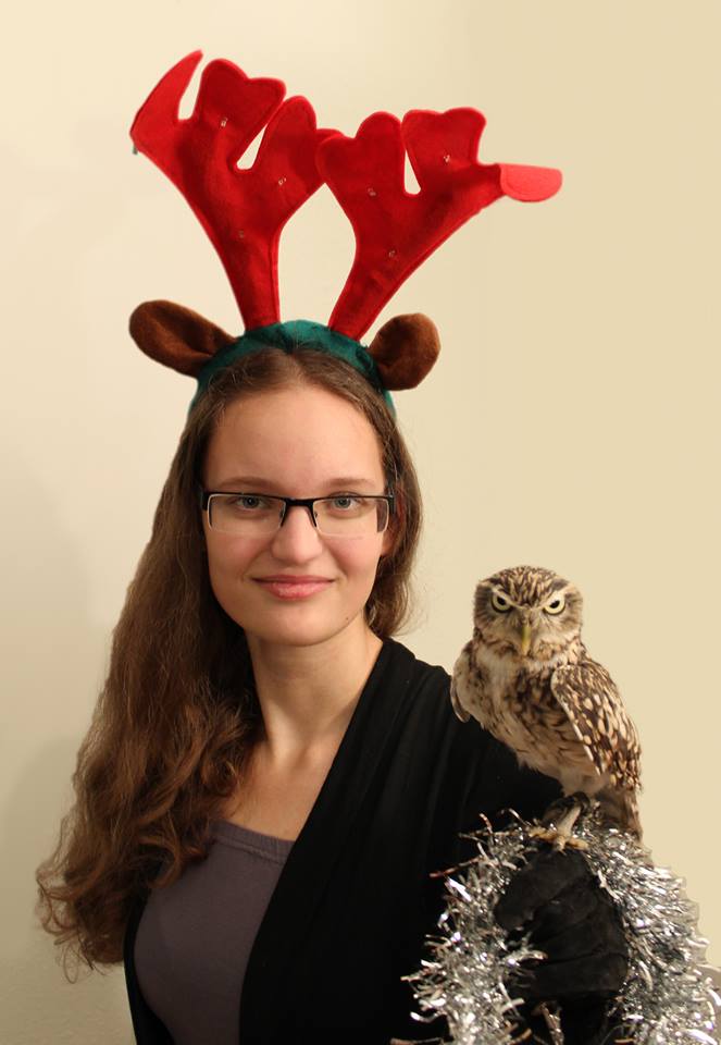 Owl Christmas