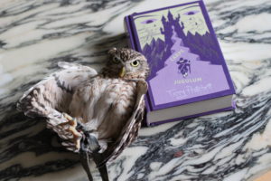 Carpe Jugulum Owl Book