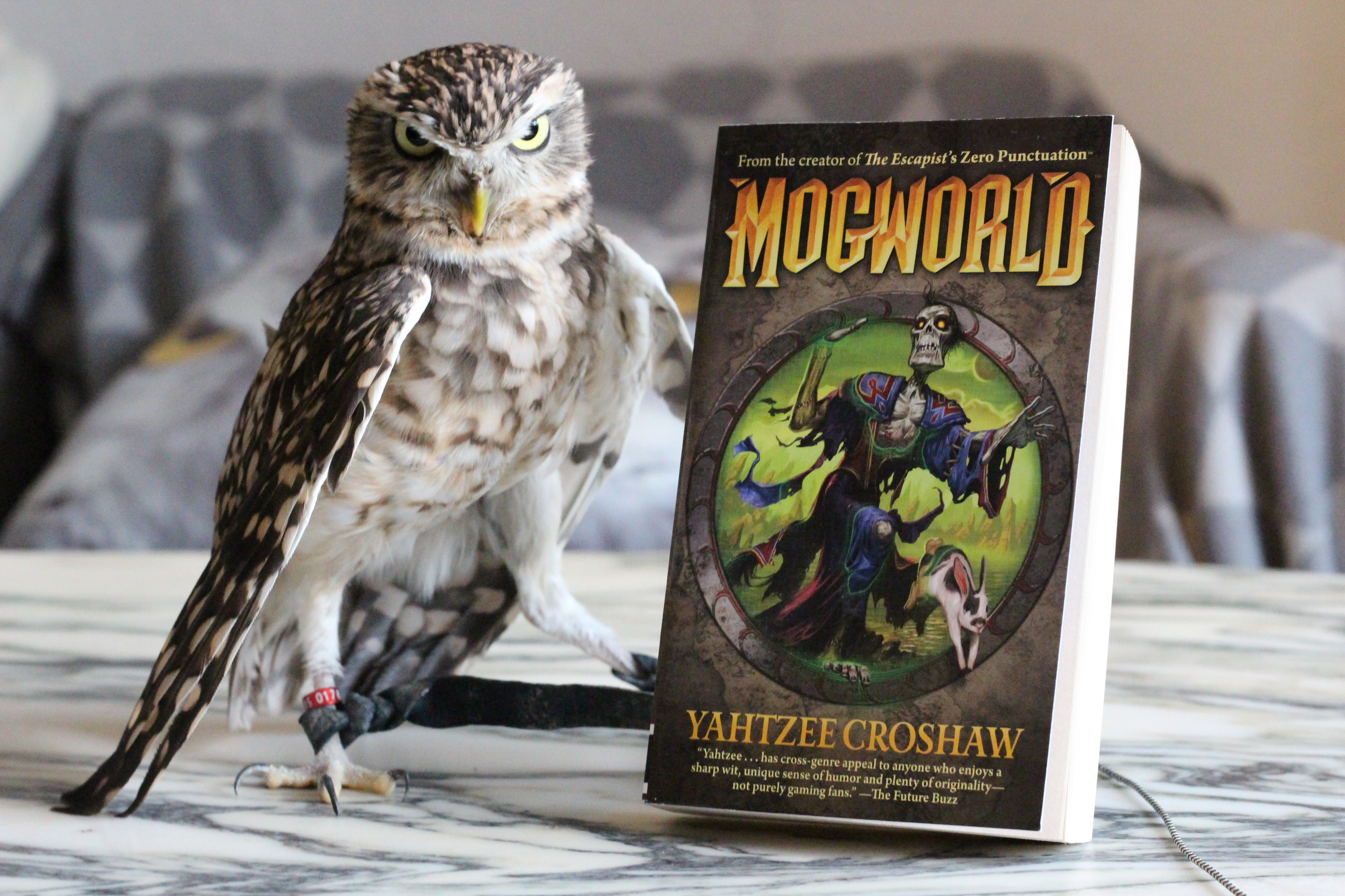 Mogworld Yahtzee Croshaw Owl