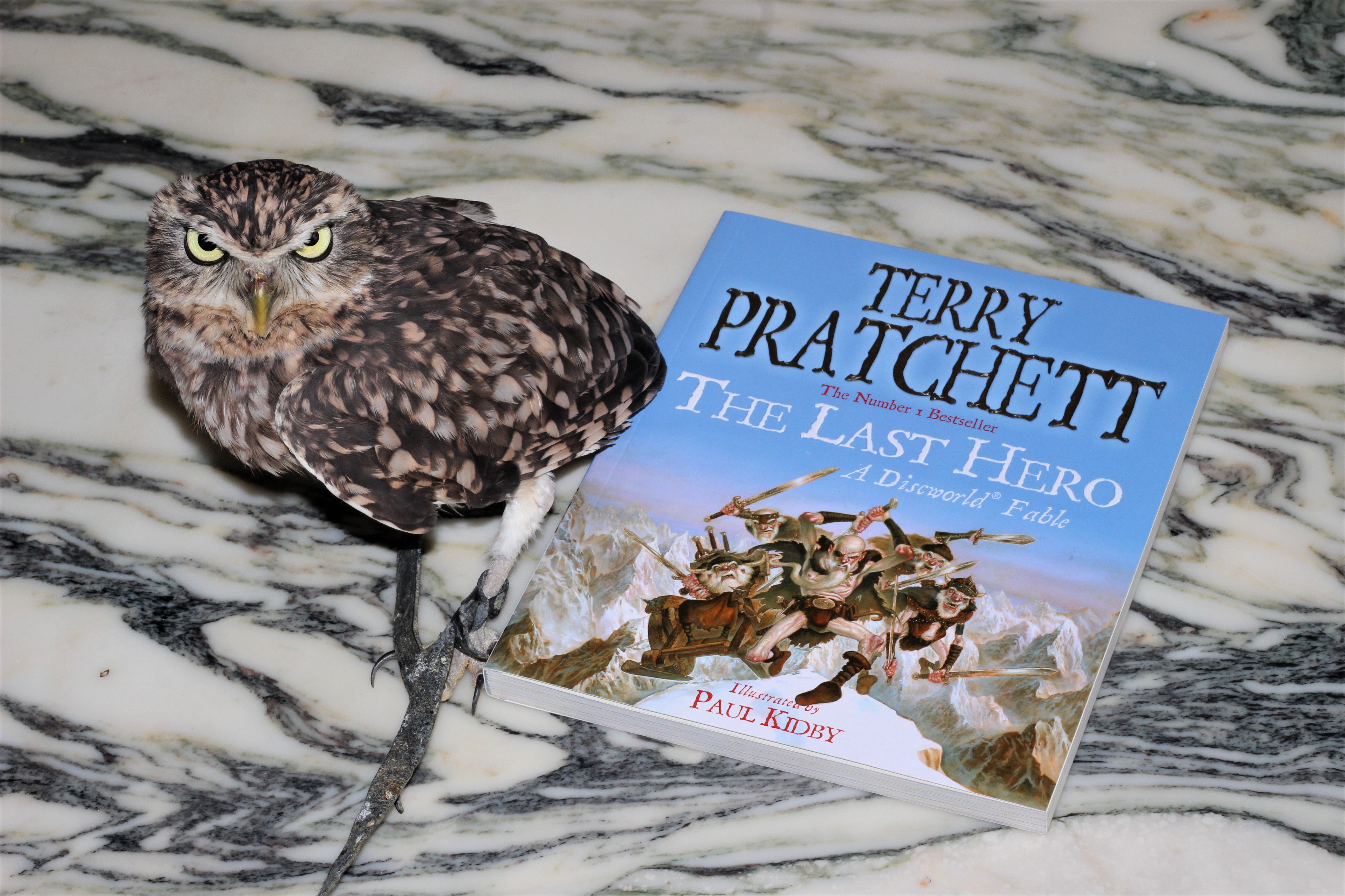 The Last Hero Terry Pratchett owl