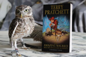 The Amazing Maurice and His Educated Rodents Terry Pratchett Owl