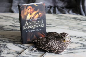 Blood of Elves Andrzej Sapkowski owl