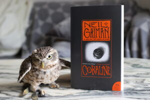 Coraline Neil Gaiman Owl