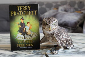 The Wee Free Men Terry Pratchett owl
