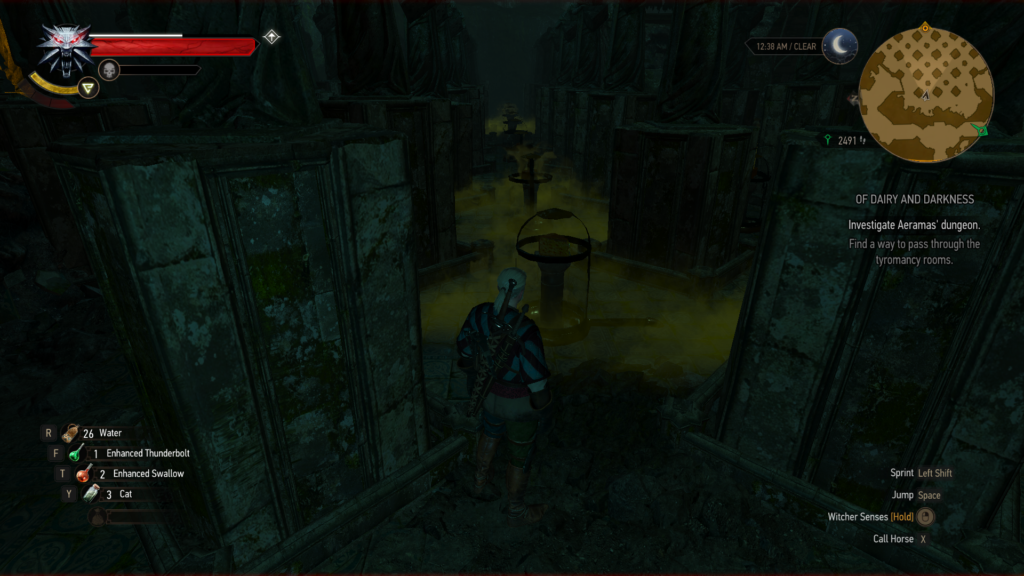 Witcher 3 Tyromancy screenshot