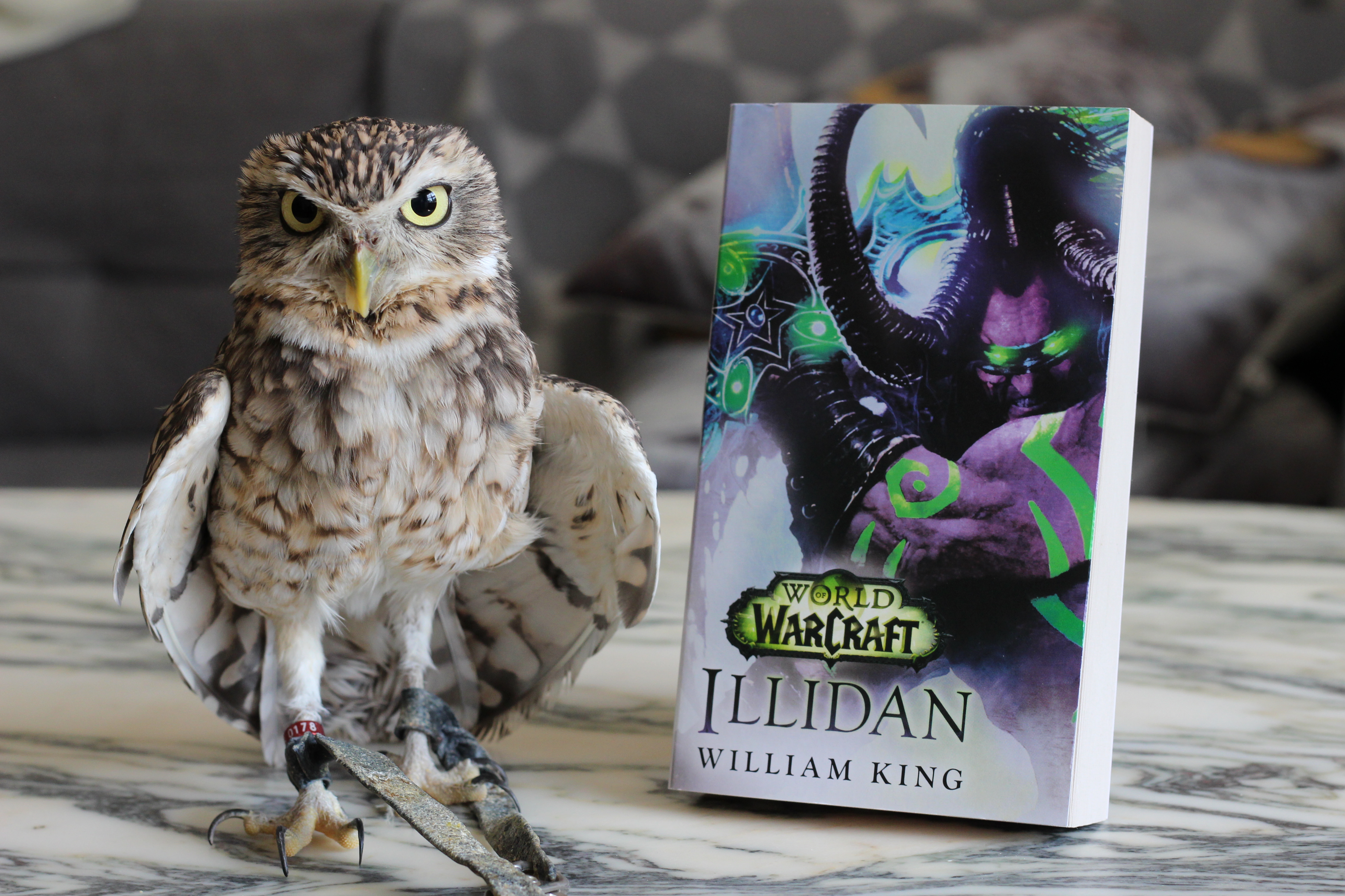 Illidan William King Warcraft Owl