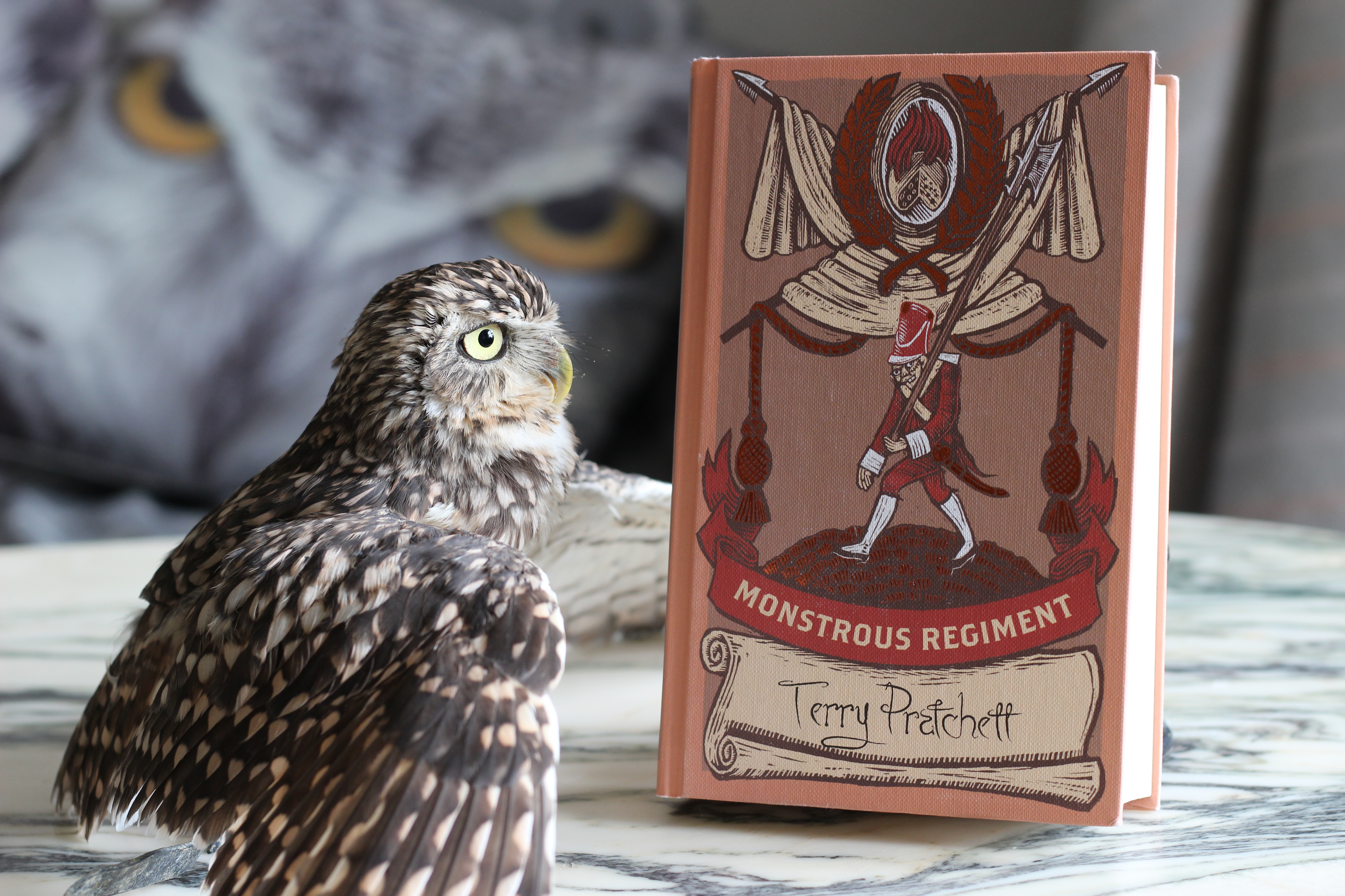 Monstrous Regiment Terry Pratchett Owl