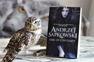 Time of Contempts Andrzej Sapkowski Owl
