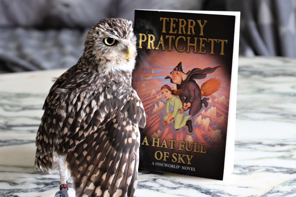A Hat Full of Sky Terry Pratchett owl