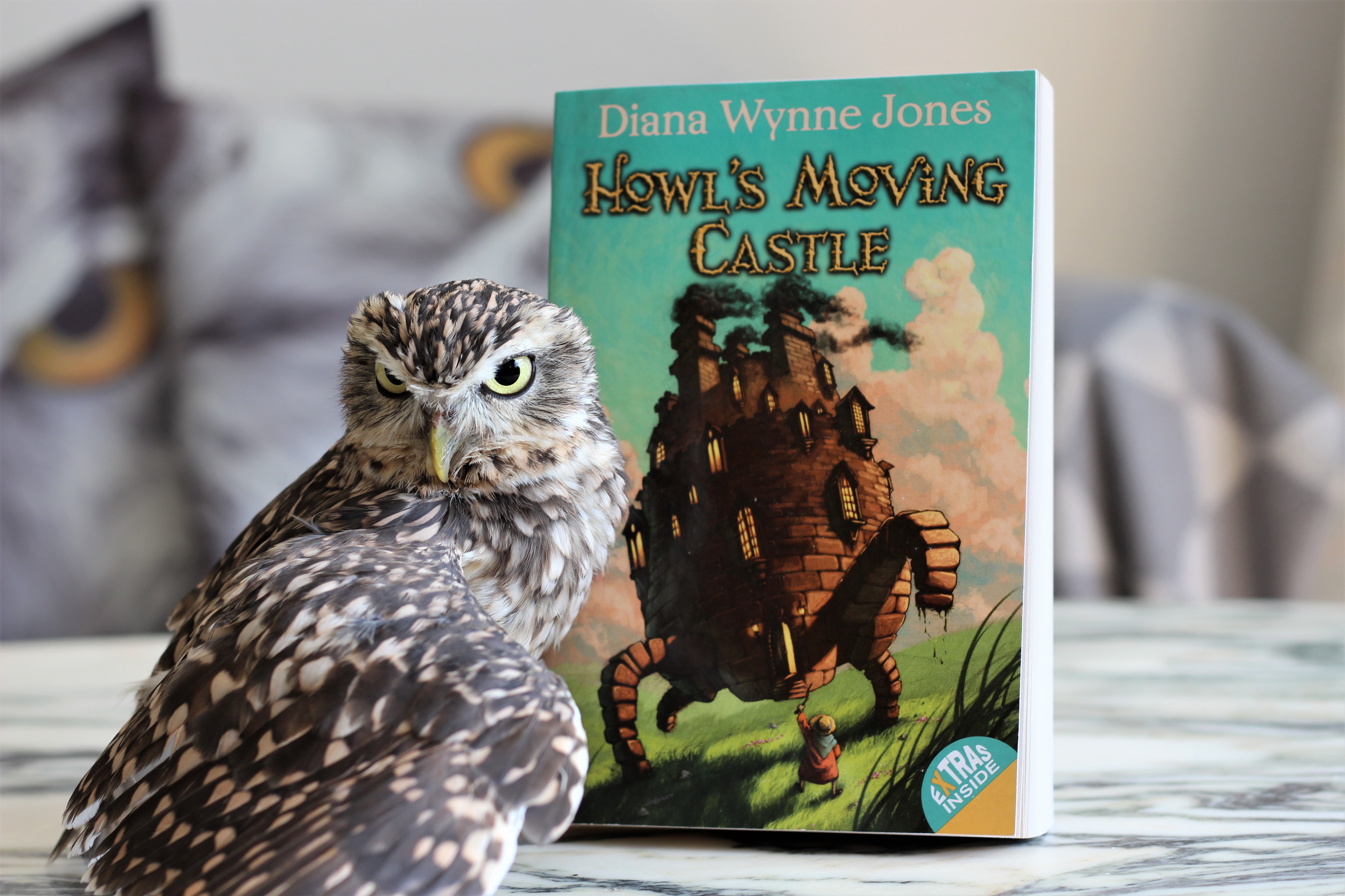 Howl's Moving Castle Diana Wynne Jones Owl