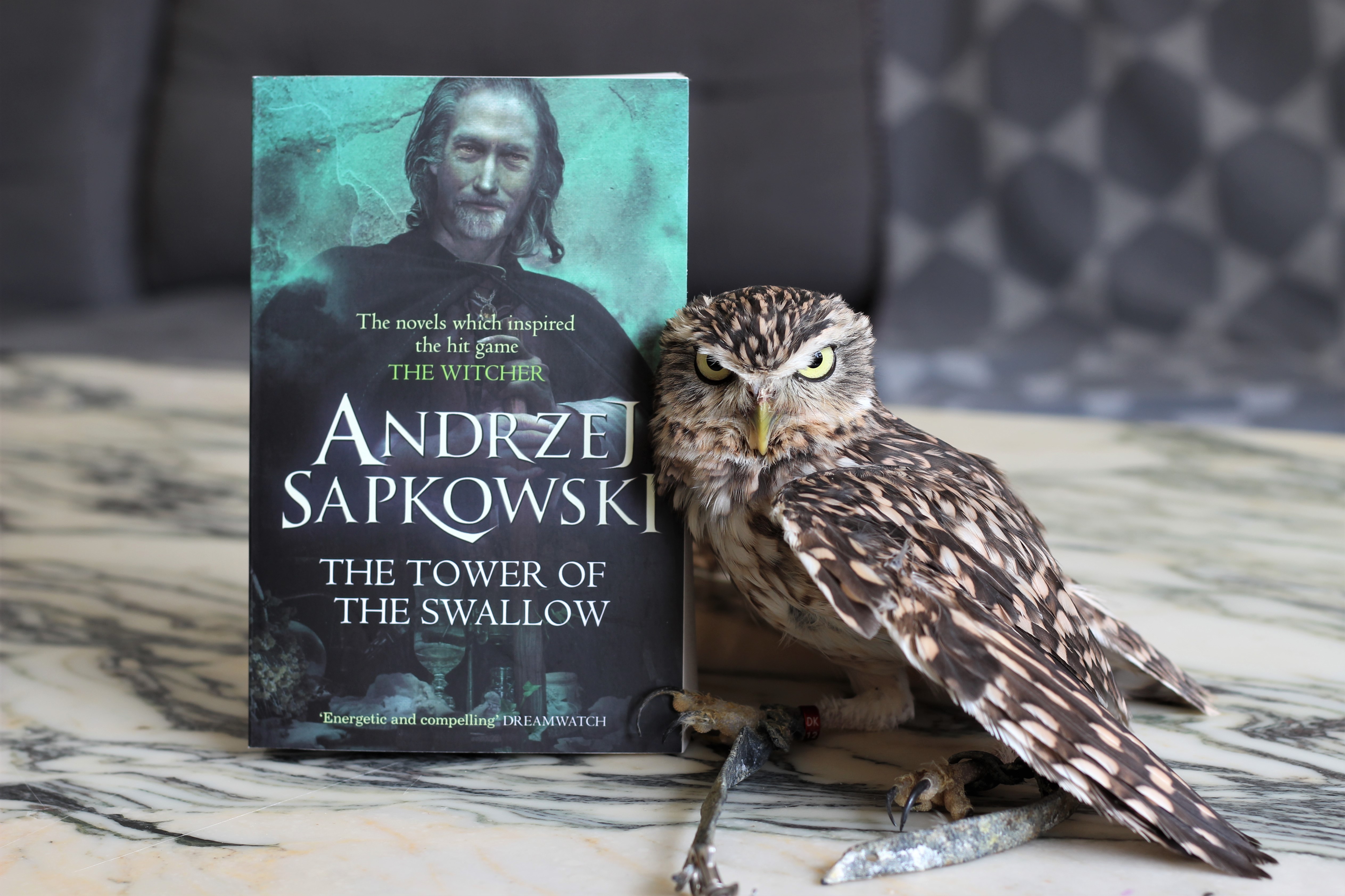 The Tower of the Swallow Andrzej Sapkowski