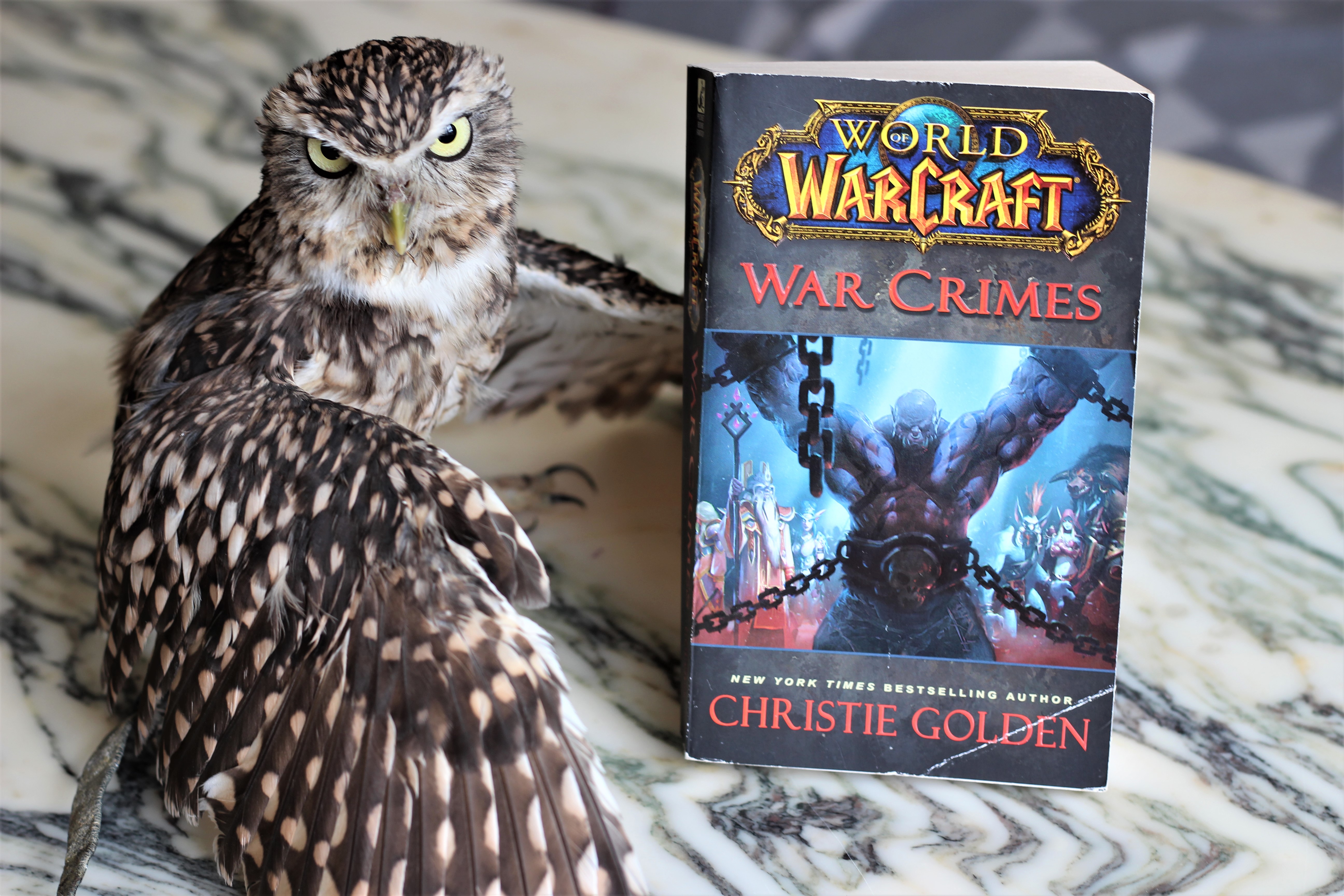 War Crimes Christie Golden Warcraft