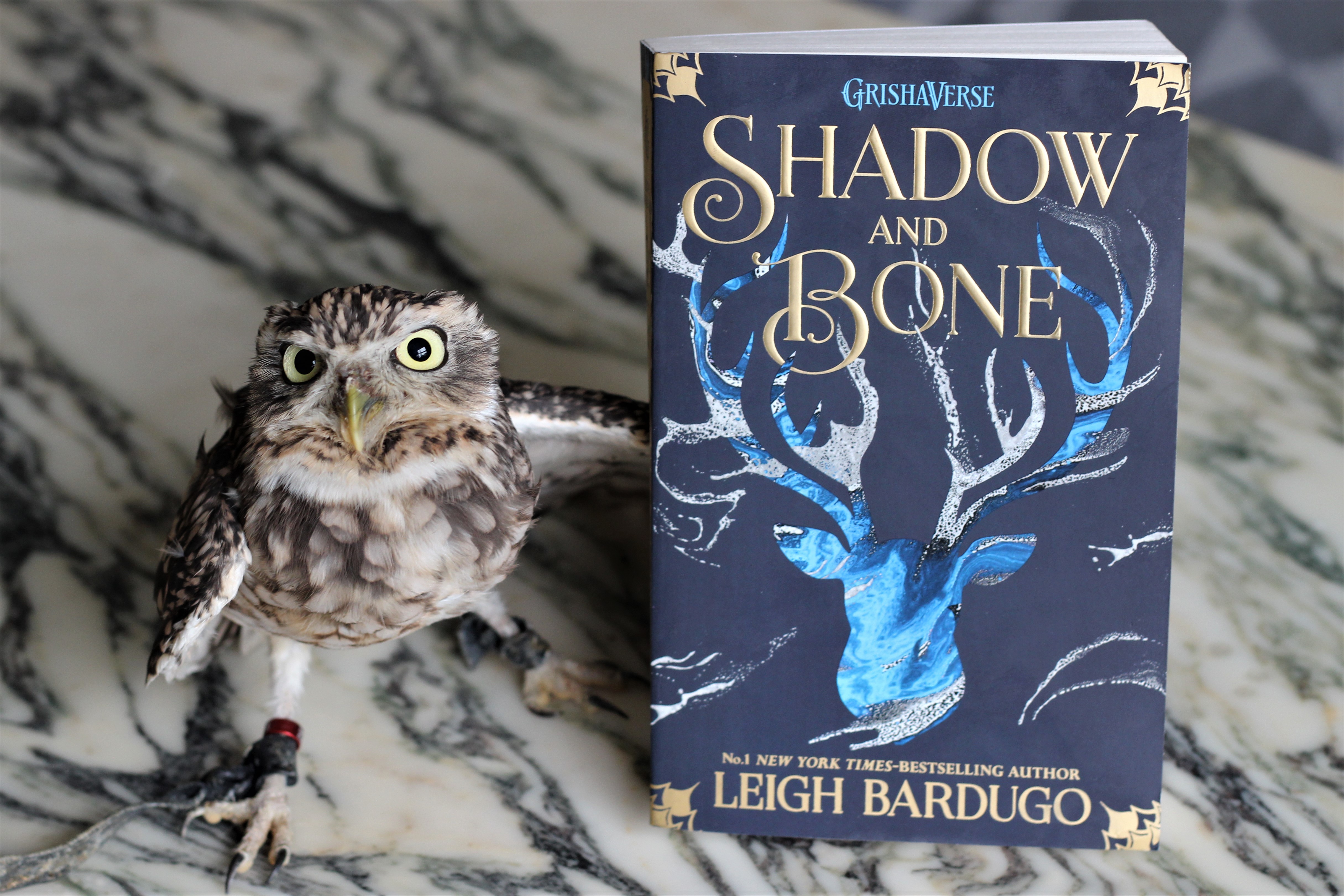 Shadow and Bone Leigh Bardugo