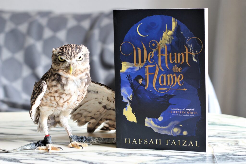 We Hunt the Flame by Hafsah Faizal