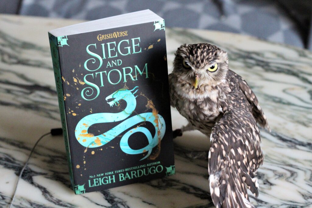 Siege and Storm by Leigh Bardugo