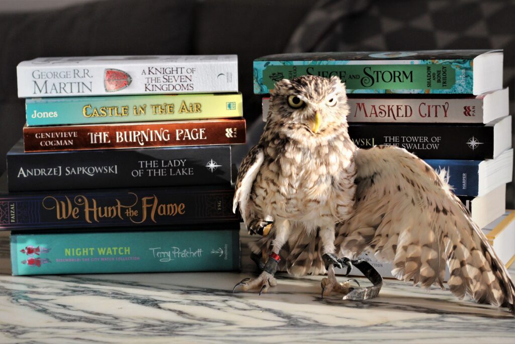 Burrowing Owl Books