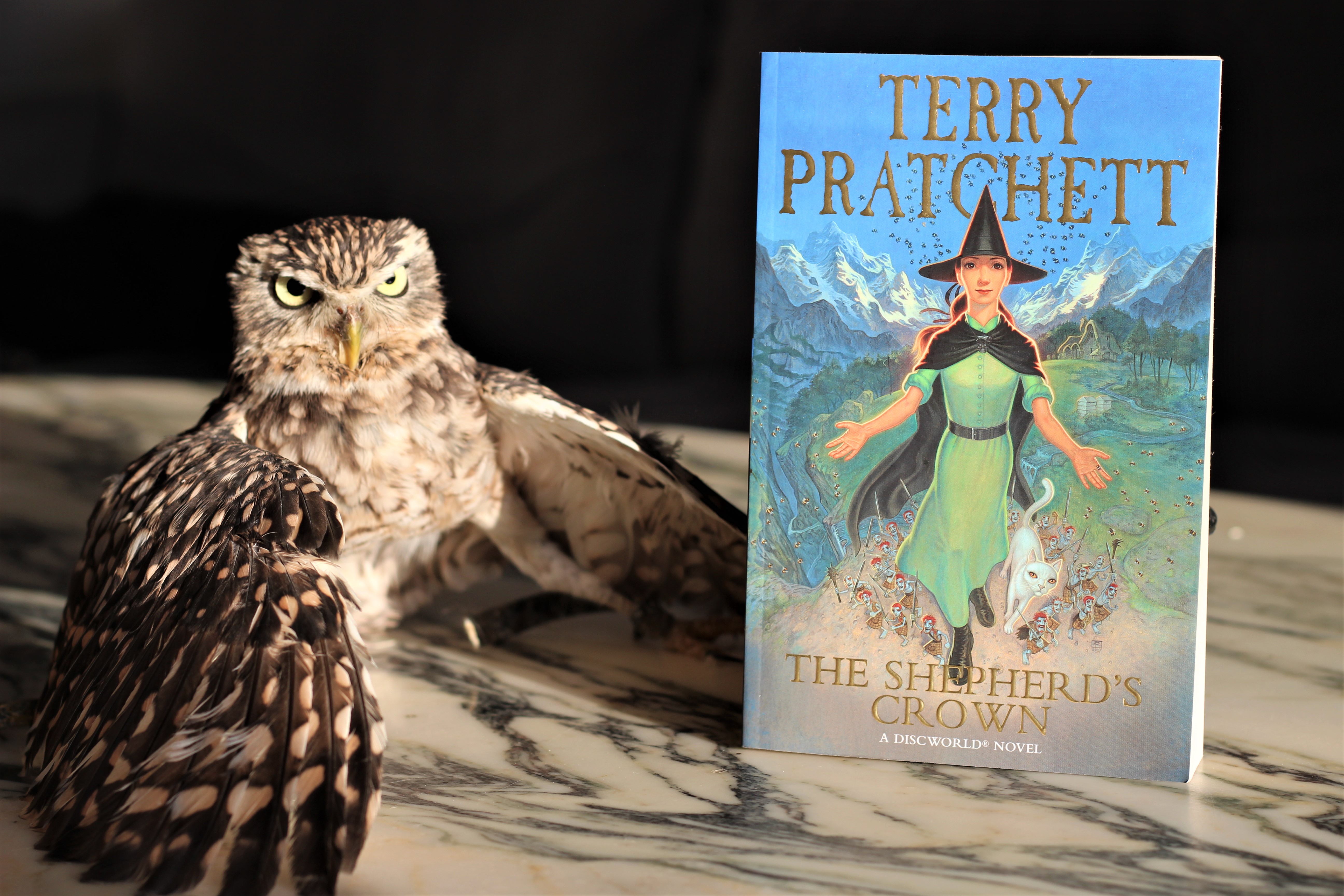 The Shepherd's Crown by Terry Pratchett