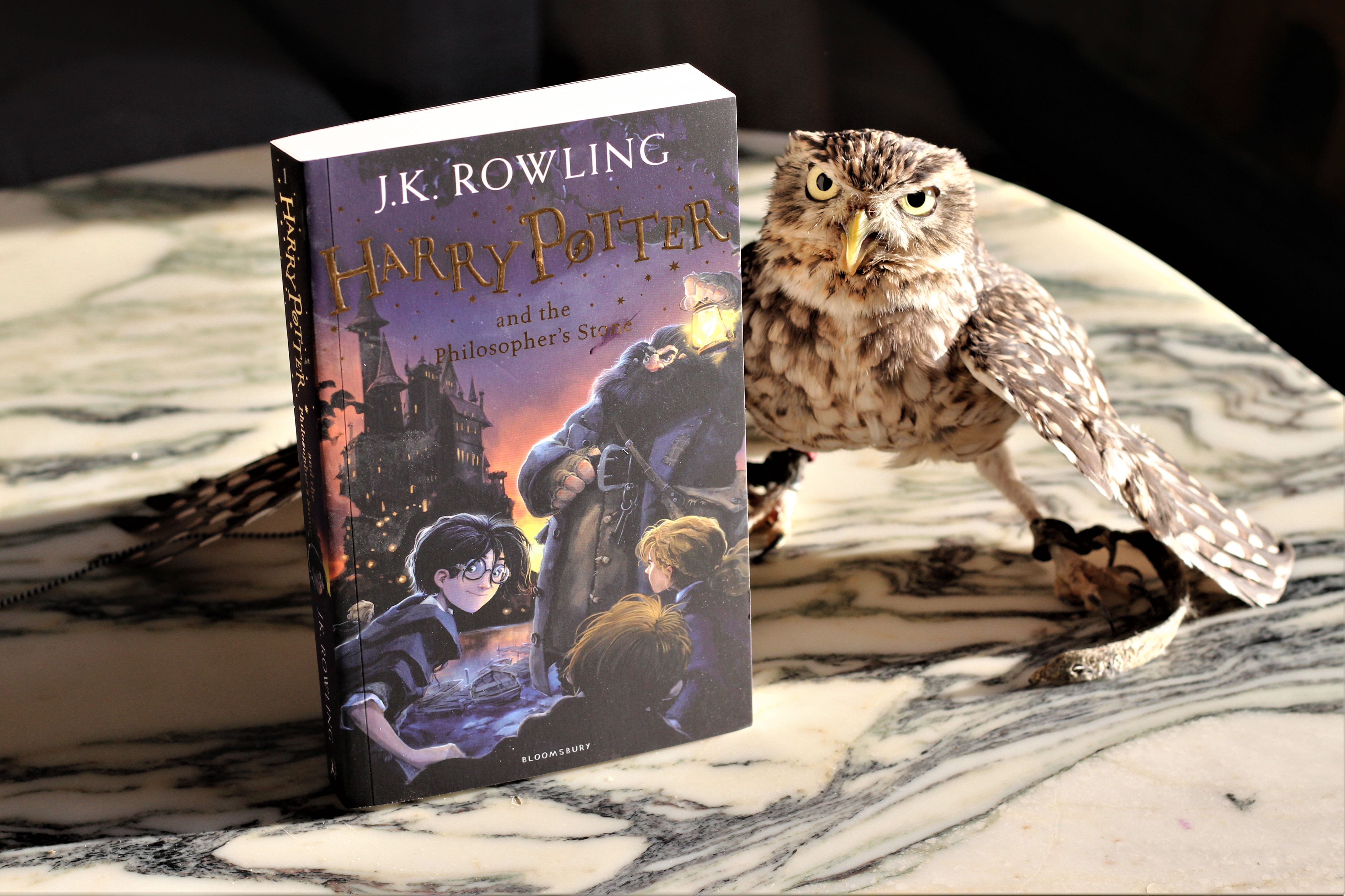 The Bookish Owl Harry Potter and the Philosopher's Stone by J. K