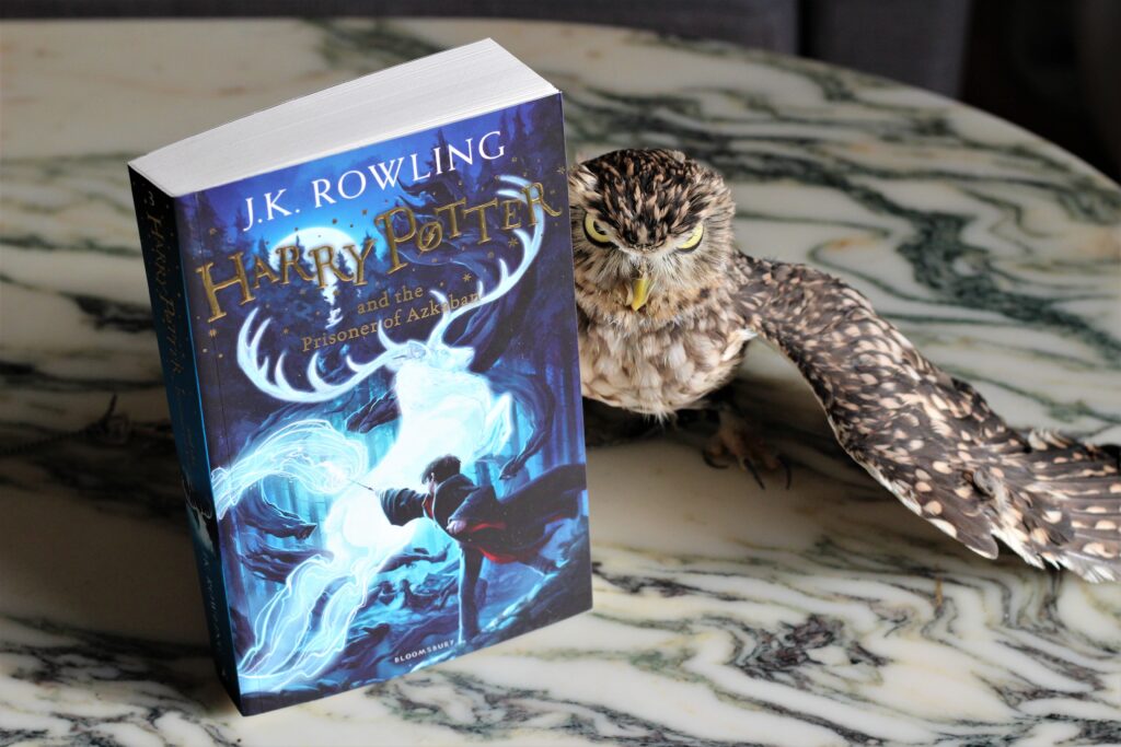 Harry Potter and the Prisoner of Azkaban owl