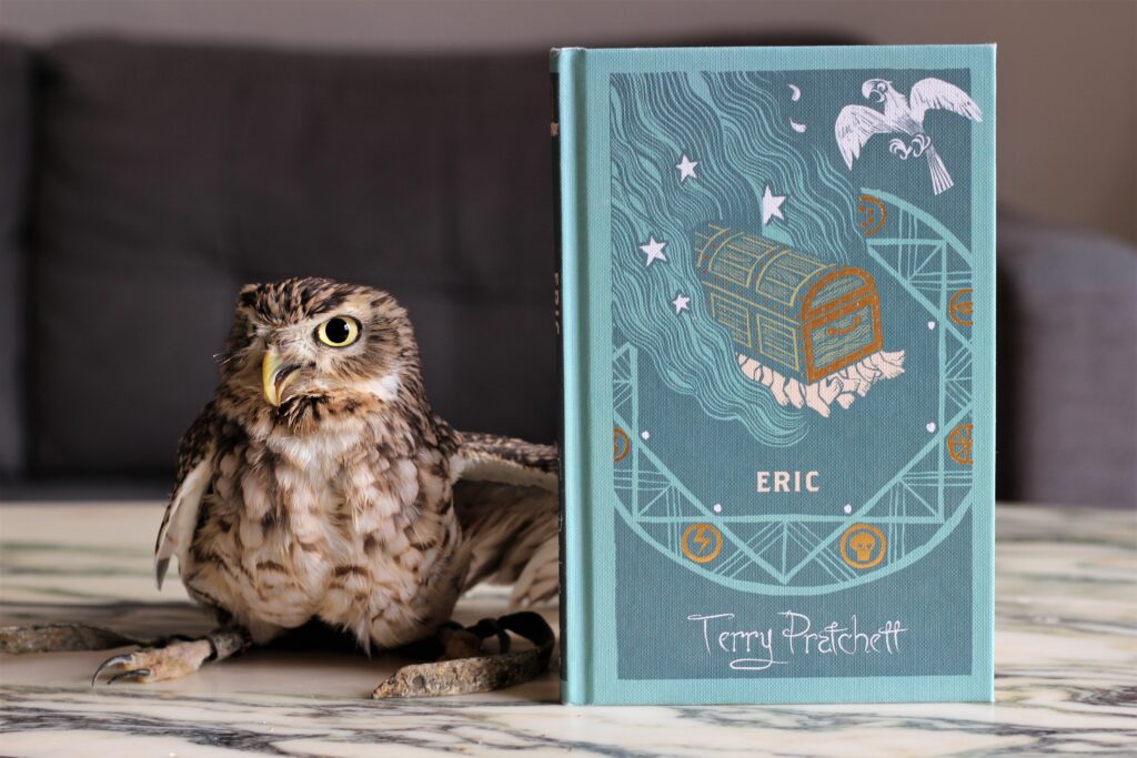 Eric by Terry Pratchett