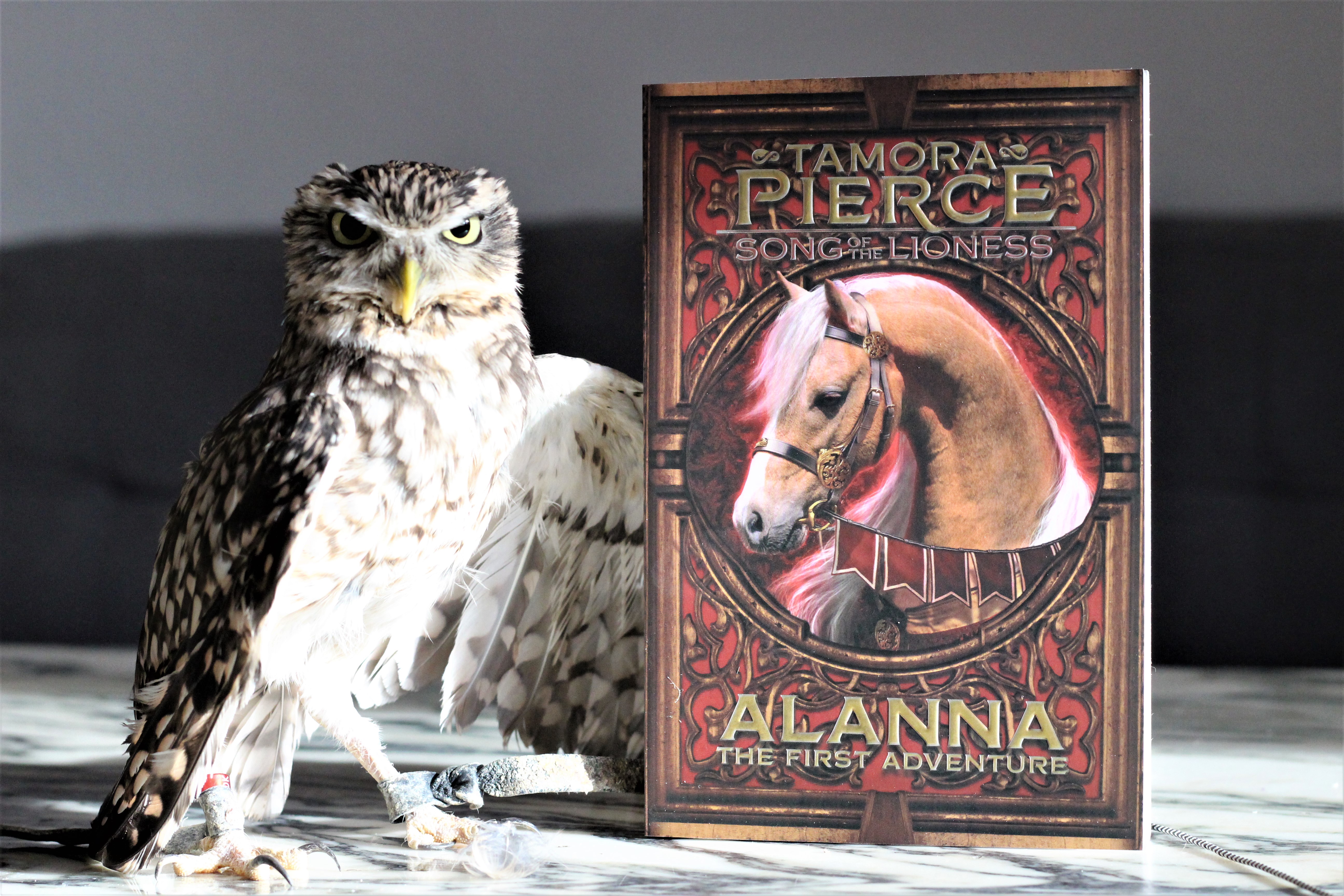 Alanna by Tamora Pierce