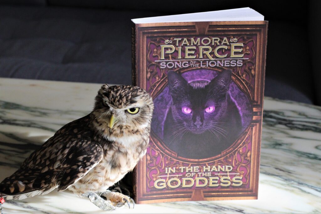In the Hands of the Goddess by Tamora Pierce