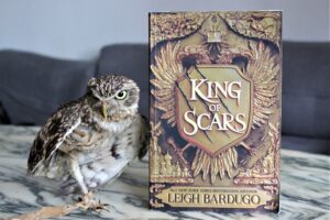 King of Scars by Leigh Bardugo