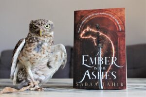 An Ember in the Ashes by Sabaa Tahir