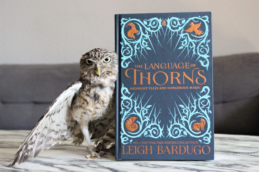 The Language of Thorns by Leigh Bardugo