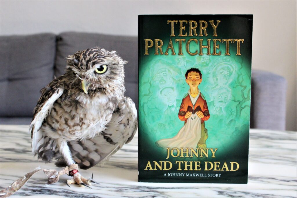 Johnny and the Dead by Terry Pratchett