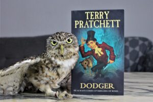 Dodger by Terry Pratchett
