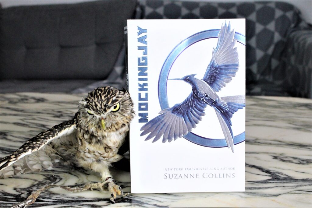 The Bookish Owl - Mockingjay by Suzanne Collins - Michelle Louring