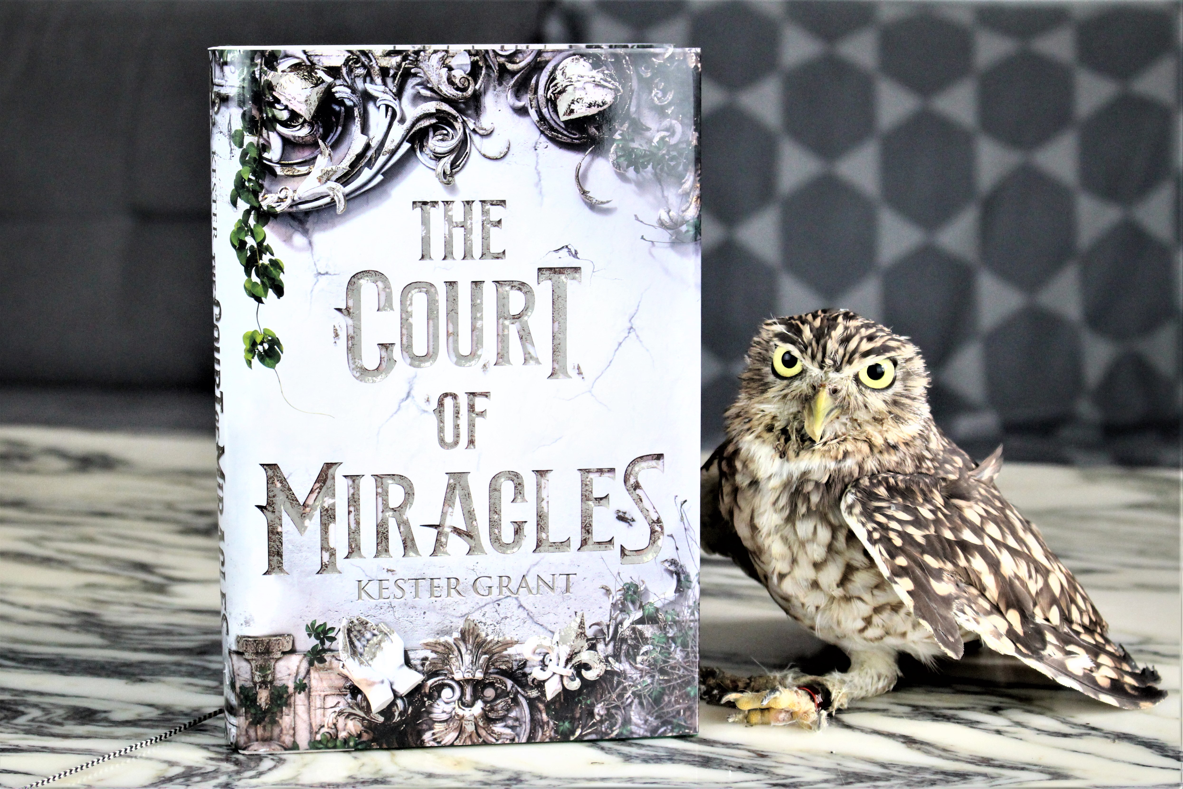 The Court of Miracles by Kester Grant