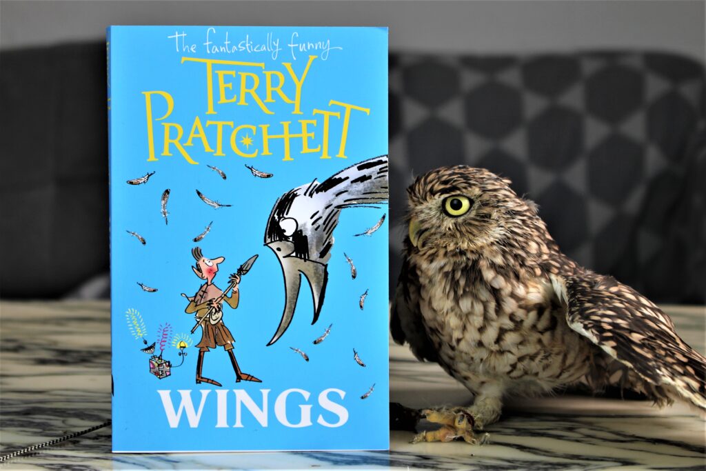 Wings by Terry Pratchett