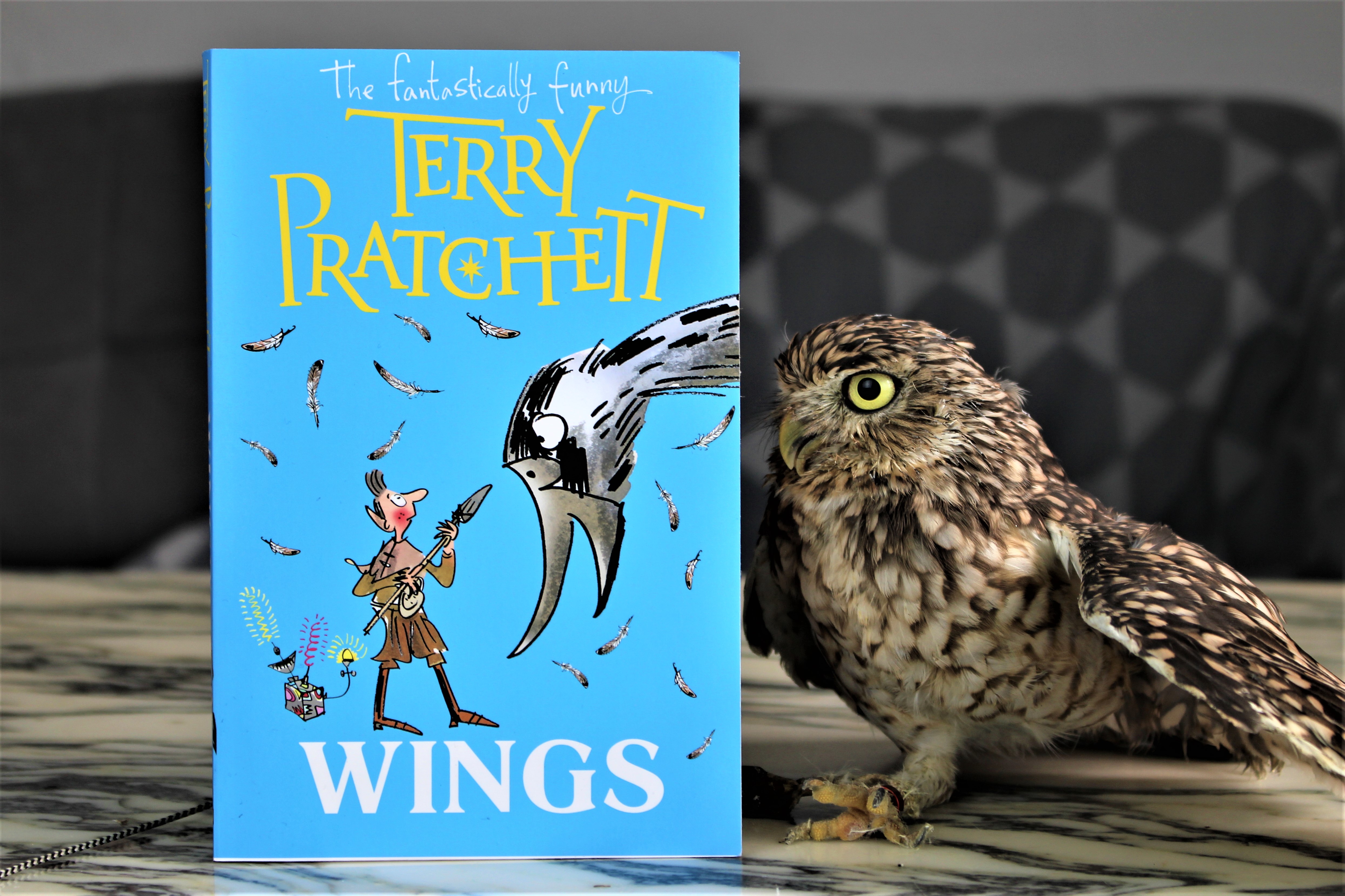 Wings by Terry Pratchett