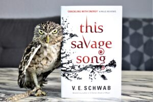 This Savage Song by V. E. Schwab
