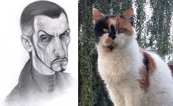 Vetinari Cat Discworld