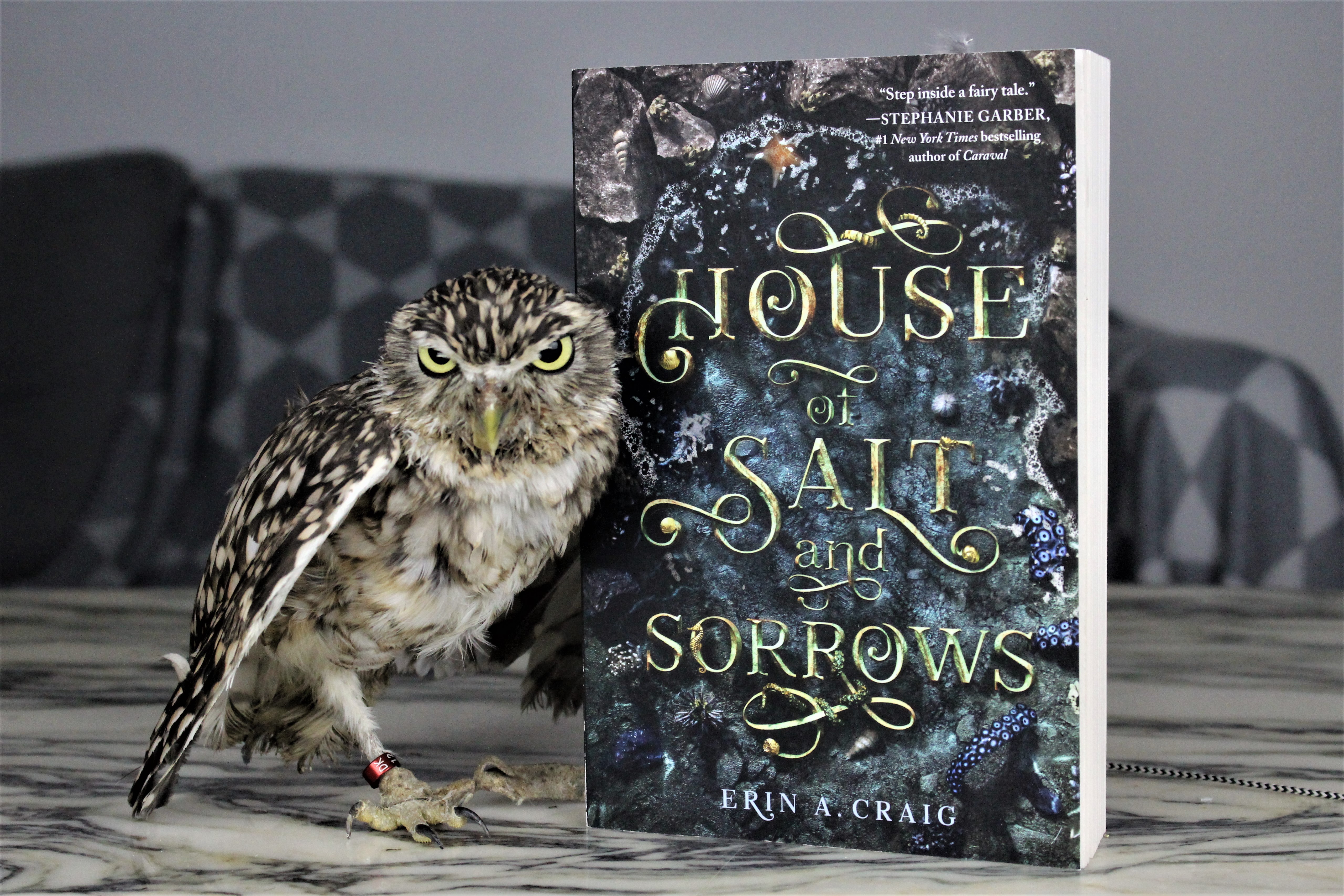 House of Salt and Sorrow