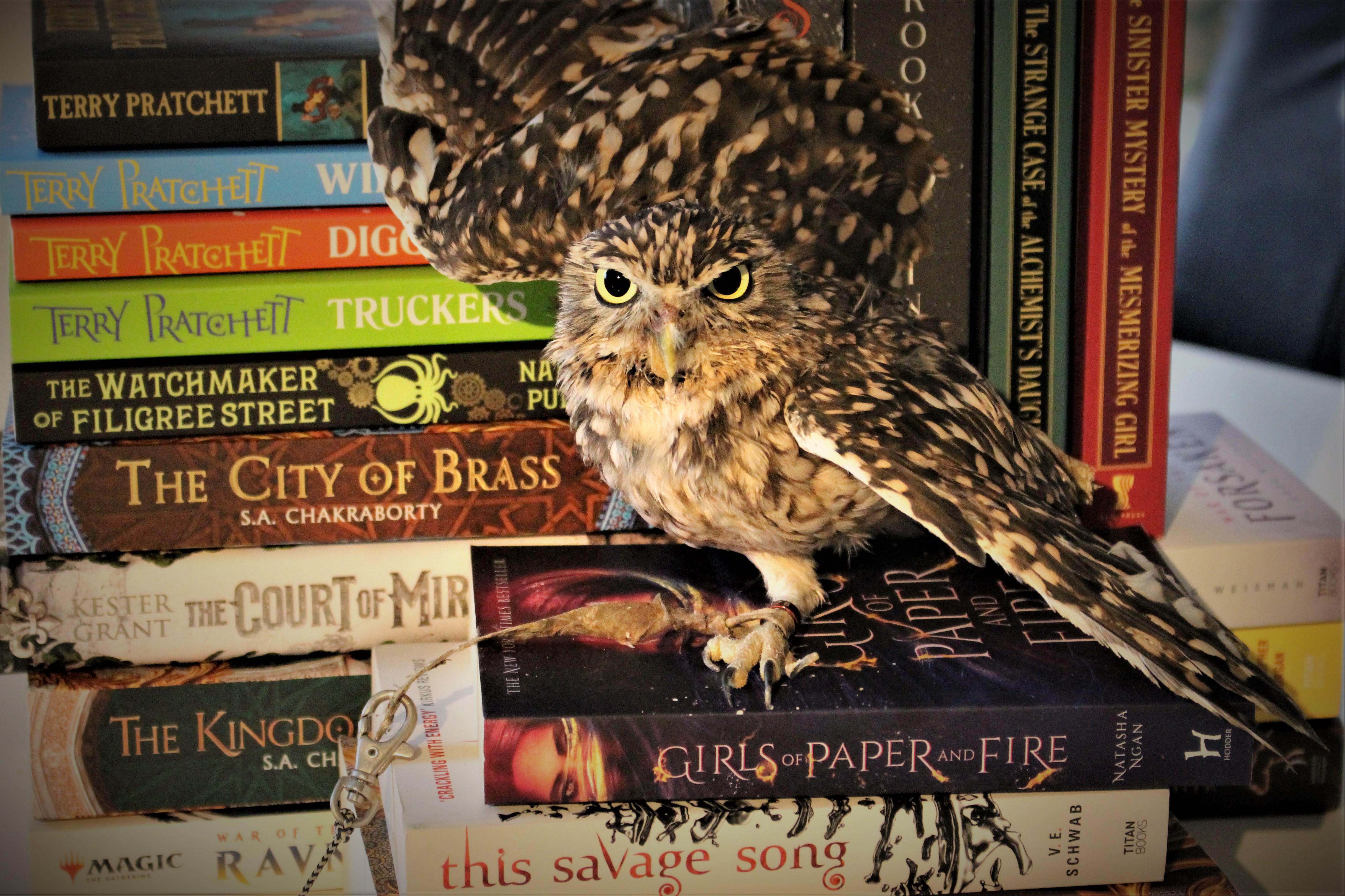 Burrowing Owl Books
