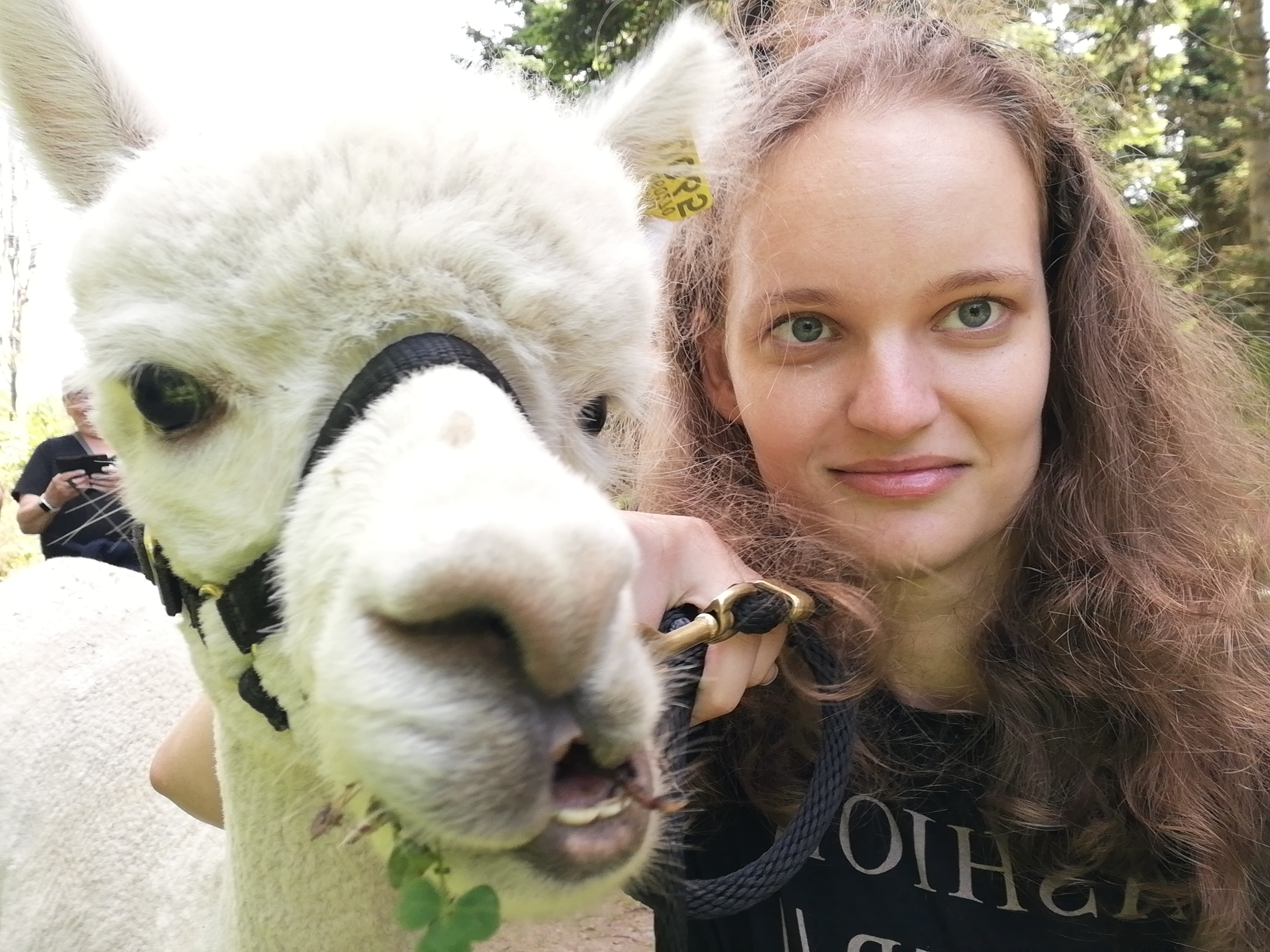 Alpaca Selife