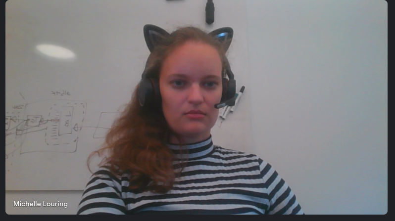 Cat Ears Headset Meeting