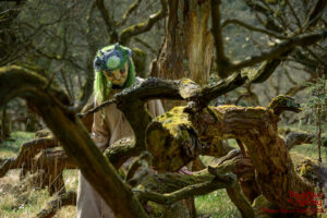 Rites of Spring Spriggs